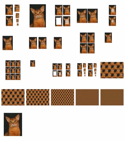 Hand Painted Effect Abyssinian Cat Set Download - 21 Pages