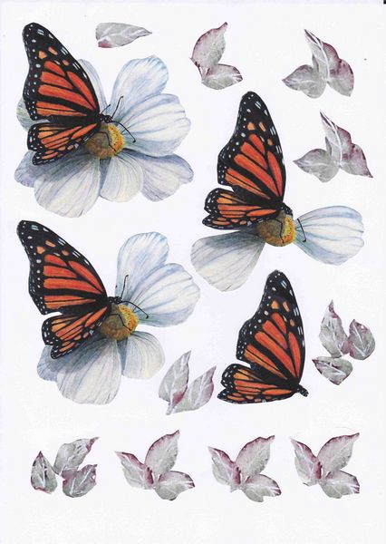 Butterfly & Flowers Decoupage Collection - 8 x A4 Pages