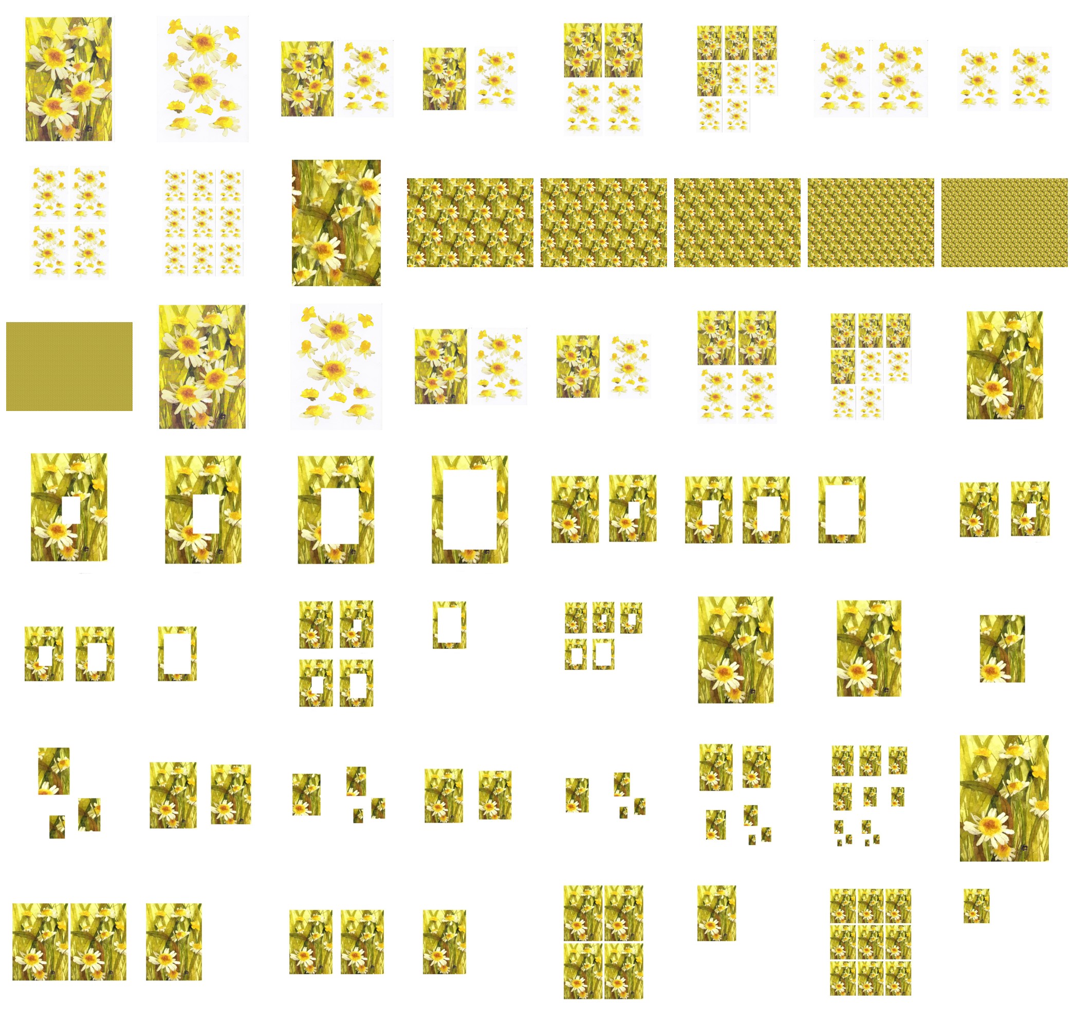 Daisies in Grass Including Project - 56 Pages to Download