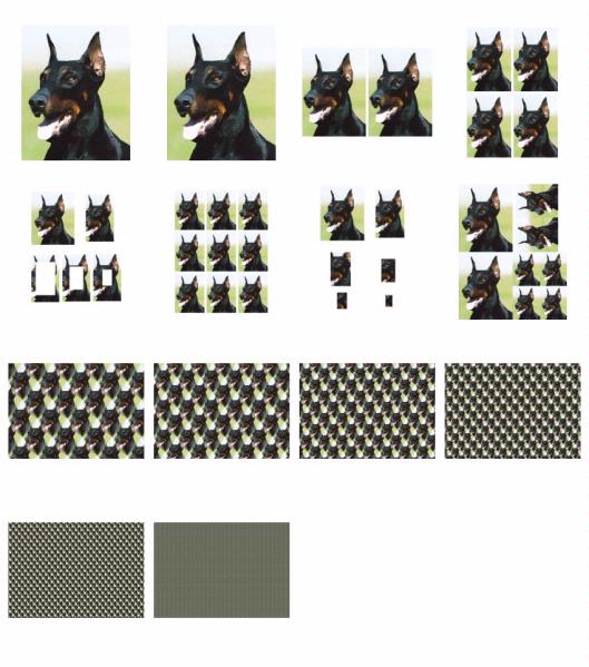 .Hand Painted Effect Doberman Set - 14 Pages