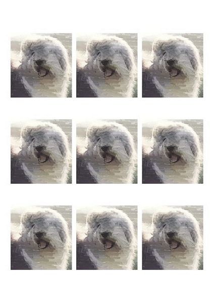 Hand Painted Effect Old English Sheepdog - 19 Sheets to Download