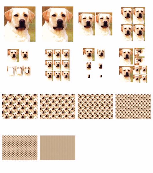 Hand Painted Effect Golden Labrador Set - 14 Pages