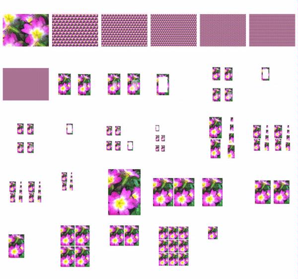 Polyanthus Set 01 - 29 Pages to Download