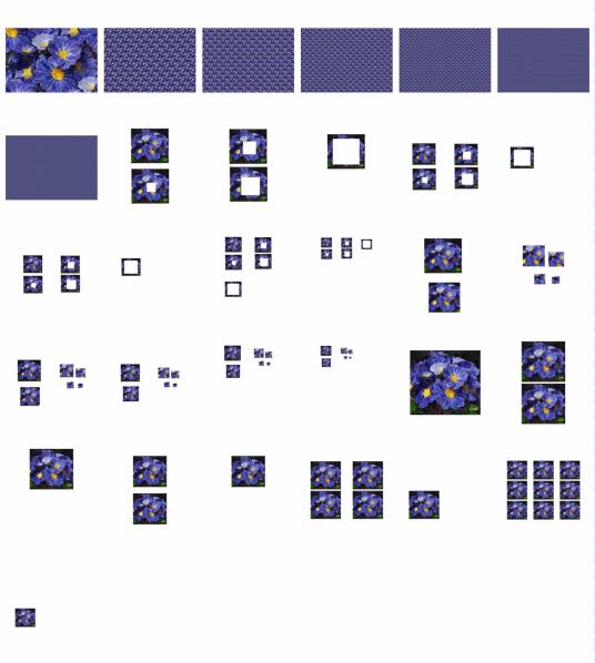 Polyanthus Set 10 - 29 Pages to Download