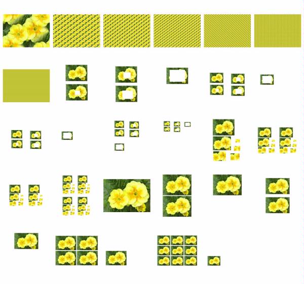 Polyanthus Set 11 - 29 Pages to Download