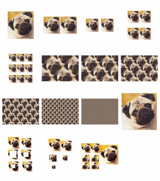 Hand Painted Effect Pug DOWNLOAD - 15 Sheets