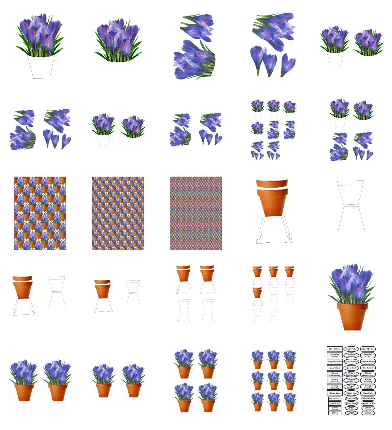 Spring Crocus Flowers - 25 Pages to Download