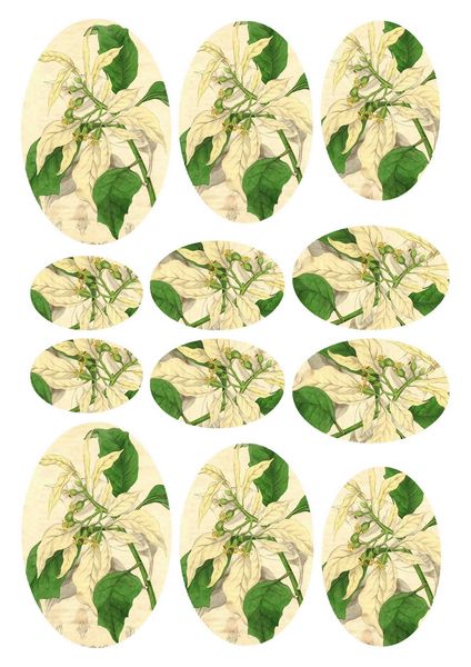 Christmas Rose Stackers Oval Download - 10 Pages 