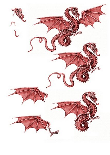 Canvas Effect Dragon Decoupage Sheet 10 - 1 x A4 Page to DOWNLOAD