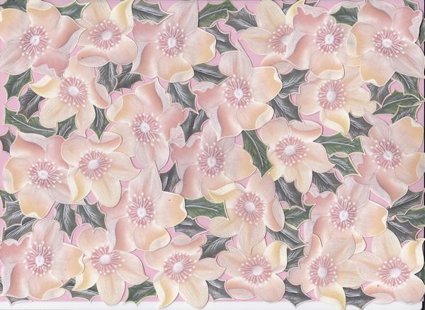 Christmas Rose and Holly Backing Paper Set Pink - 4 x A4 Pages to Download