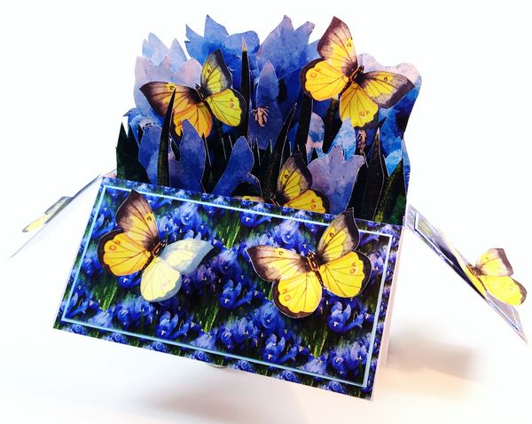 Oblong Folding Box Card Iris Project - 6 Sizes