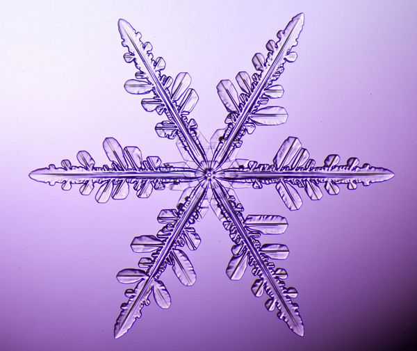 Sensational Snowflake Set 02 - 4 x A4 Pages to Download