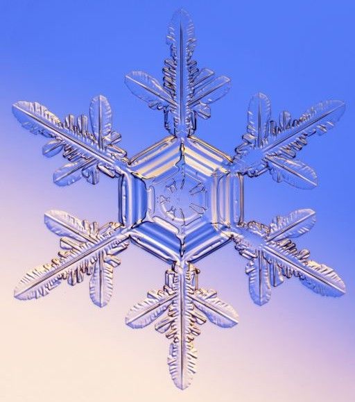 Sensational Snowflake Set 08 - 4 x A4 Pages to Download