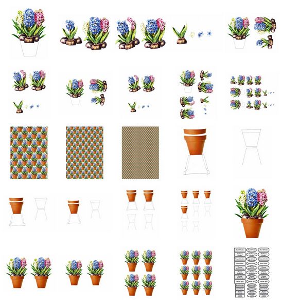 Spring Hyacinth Flowers Set - 25 Pages to Download